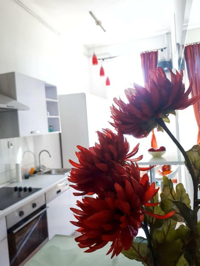 Apartment Zrinjevac Zagrzeb Zewnętrze zdjęcie